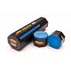 BLUE MASTER CHALK 12 PIECES