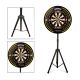 Golden Lion dart cupboard